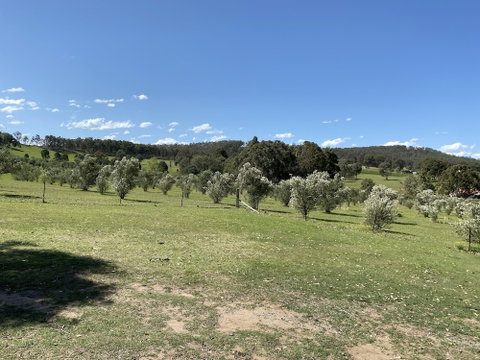 Hunter Homestead - Accommodation Sunshine Coast 0