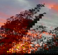 The York Heritage Hotel  Terraces - Accommodation Sunshine Coast