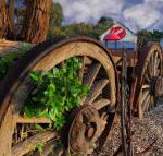 Bellum Hotel - Accommodation Sunshine Coast