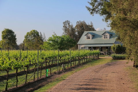 Emmas Cottage Vineyard - Accommodation Sunshine Coast 0
