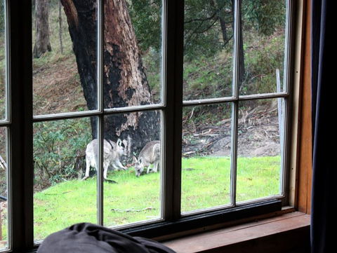 La Boheme Villa - Accommodation Sunshine Coast 6
