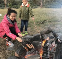 Farm Accommodation - Accommodation Sunshine Coast