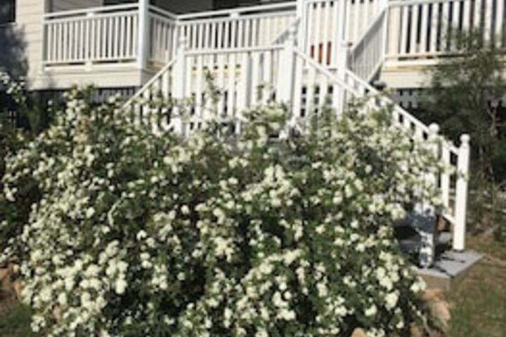 Glen Aplin QLD Accommodation Sunshine Coast