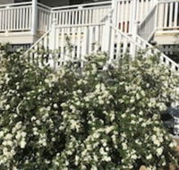 Glen Aplin Gardens BB - Accommodation Sunshine Coast