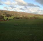 Mancuso Country Cottage Retreat - Accommodation Sunshine Coast