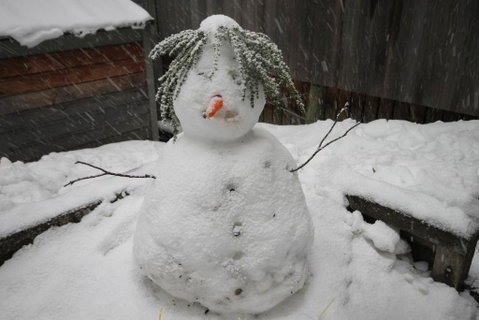 CHILL OUT At THREDBO - Accommodation Sunshine Coast 2