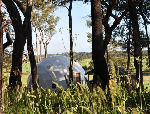 Mile End Glamping Pty Ltd - Accommodation Sunshine Coast 2