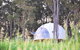 Mile End Glamping Pty Ltd - thumb 1