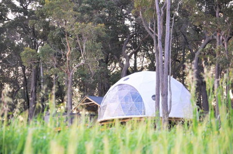 Mile End Glamping Pty Ltd - Accommodation Sunshine Coast 1