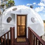 Mile End Glamping Pty Ltd - Accommodation Sunshine Coast 0