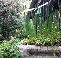 Lemonade Creek Cottages - Accommodation Sunshine Coast