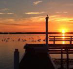 Bayview Boathouse - Accommodation Sunshine Coast