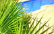 Roma Mid Town Motor Inn - thumb 3