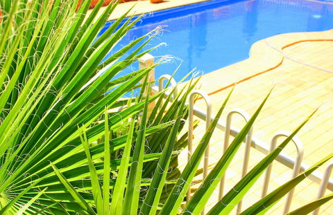 Roma Mid Town Motor Inn - Accommodation Sunshine Coast 3