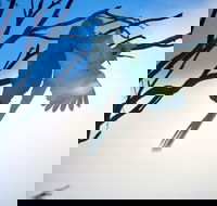 Tenterfield Cottage Holiday House - Accommodation Sunshine Coast