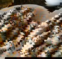 Dumpling Chen - Accommodation Sunshine Coast