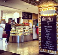 The Fly Bar - Accommodation Sunshine Coast