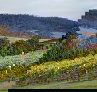 De Bortoli Winery  Restaurant - Accommodation Sunshine Coast