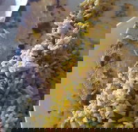 Horsham Masala Indian Restaurant - Accommodation Sunshine Coast