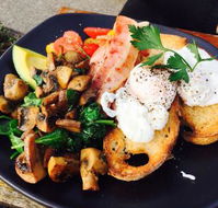 Moons espresso bar - Accommodation Sunshine Coast