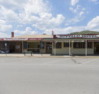 The Buffalo Hotel - Accommodation Sunshine Coast