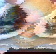 Avenel Cafe - Accommodation Sunshine Coast