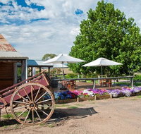 Gracebrook Wines - Accommodation Sunshine Coast