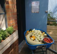 Jacican - Accommodation Sunshine Coast