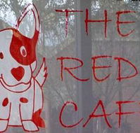 Red Dog Cafe - Accommodation Sunshine Coast