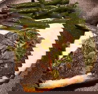 Cento 22 - Accommodation Sunshine Coast