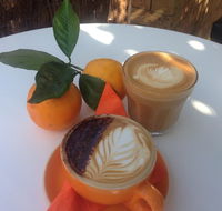 The Orange Tree - licensed cafe by the river - Accommodation Sunshine Coast