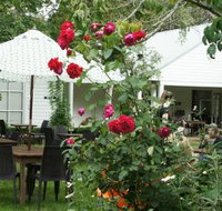 Sturt Coffee - Accommodation Sunshine Coast