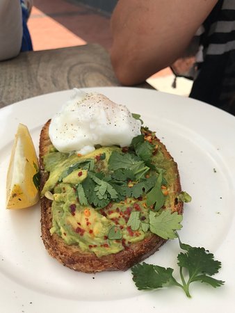 Avoca Beach NSW Accommodation Sunshine Coast