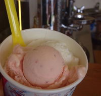 Bermagui Gelati Clinic - Accommodation Sunshine Coast