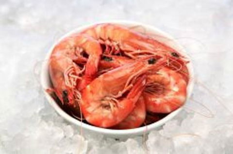 Blue Wave Seafood - Accommodation Sunshine Coast 0