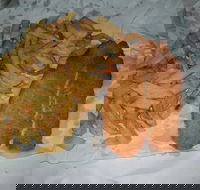 Chipp Inn - Accommodation Sunshine Coast