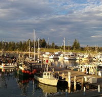 Horse  Camel - Accommodation Sunshine Coast