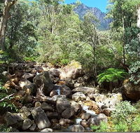 Star Chinese Restaurant - Accommodation Sunshine Coast