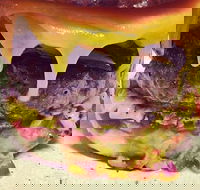 The Box Factory - Accommodation Sunshine Coast