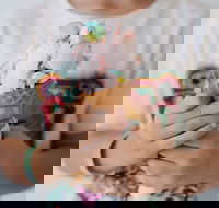 Get The Scoop Gelato Bar - Accommodation Sunshine Coast