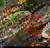 OlleyvilleShaw - Accommodation Sunshine Coast