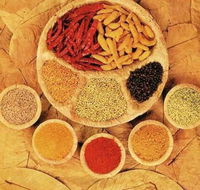 Tehzeeb Indian and Australian Restaurant - Accommodation Sunshine Coast