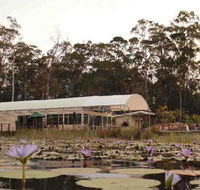 Abundance Cafe and Garden Centre - Accommodation Sunshine Coast