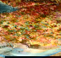 Al Pesto - Accommodation Sunshine Coast