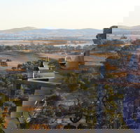 DogRock Winery - Accommodation Sunshine Coast