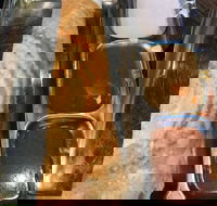 Dosa Hut - Upper Mount Gravatt - Accommodation Sunshine Coast