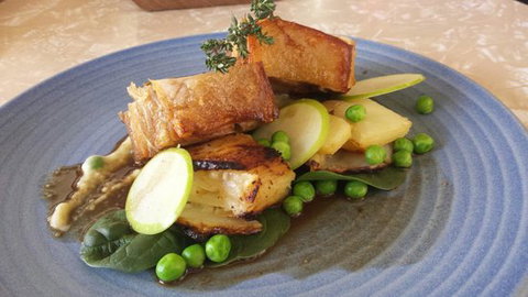 Little Oink - Accommodation Sunshine Coast 0