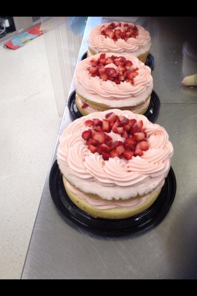  Accommodation Sunshine Coast