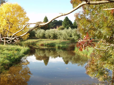 Cradle Coast Olives - Accommodation Sunshine Coast 0
