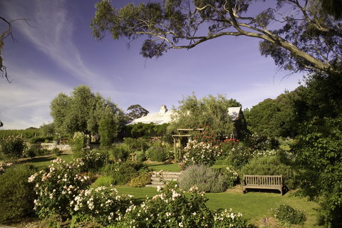 Skillogalee Winery & Restaurant - Accommodation Sunshine Coast 0